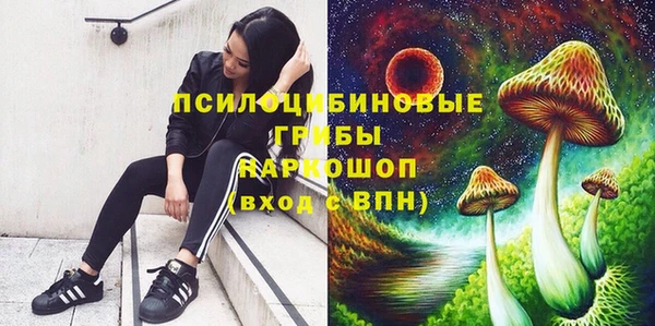 герыч Верхний Тагил